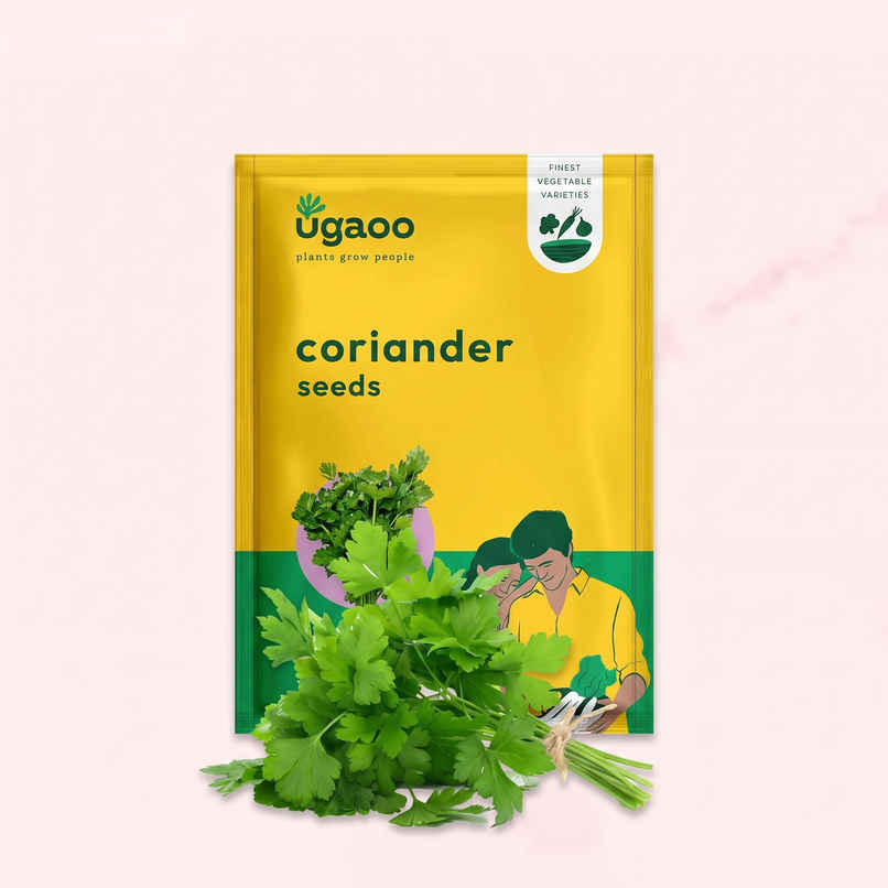 Ugaoo Coriander Seeds Ugaoo Coriander Seeds