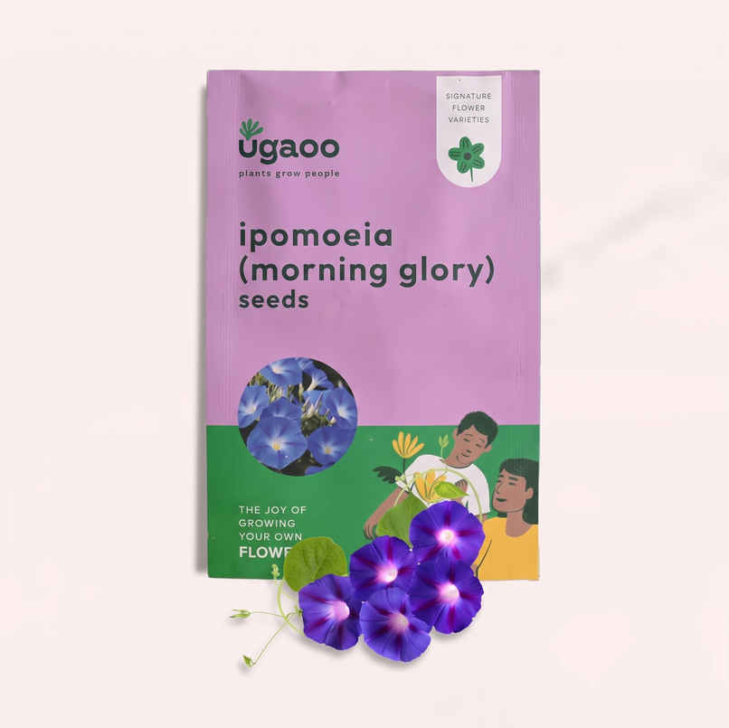 Ugaoo Ipomoea Seeds Ugaoo Ipomoea Seeds