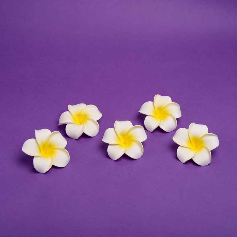 Gullak Floating Frangipani Flower