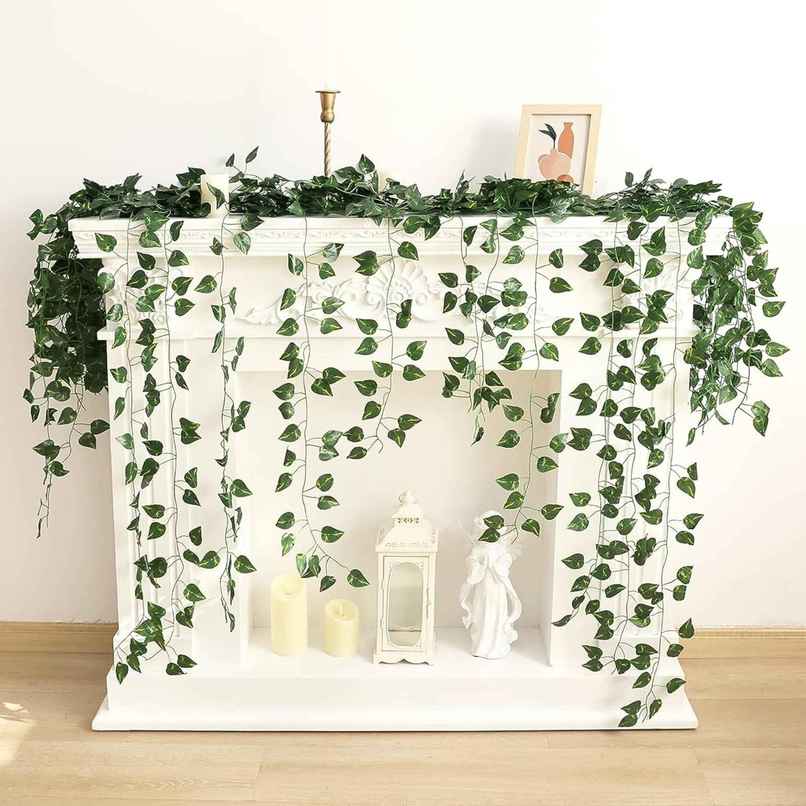 Tied Ribbons Set Of 6 Artificial Money Plant Leaves Creeper Garland (223 Cm) Tied Ribbons Set Of 6 Artificial Money Plant Leaves Creeper Garland (223 Cm)