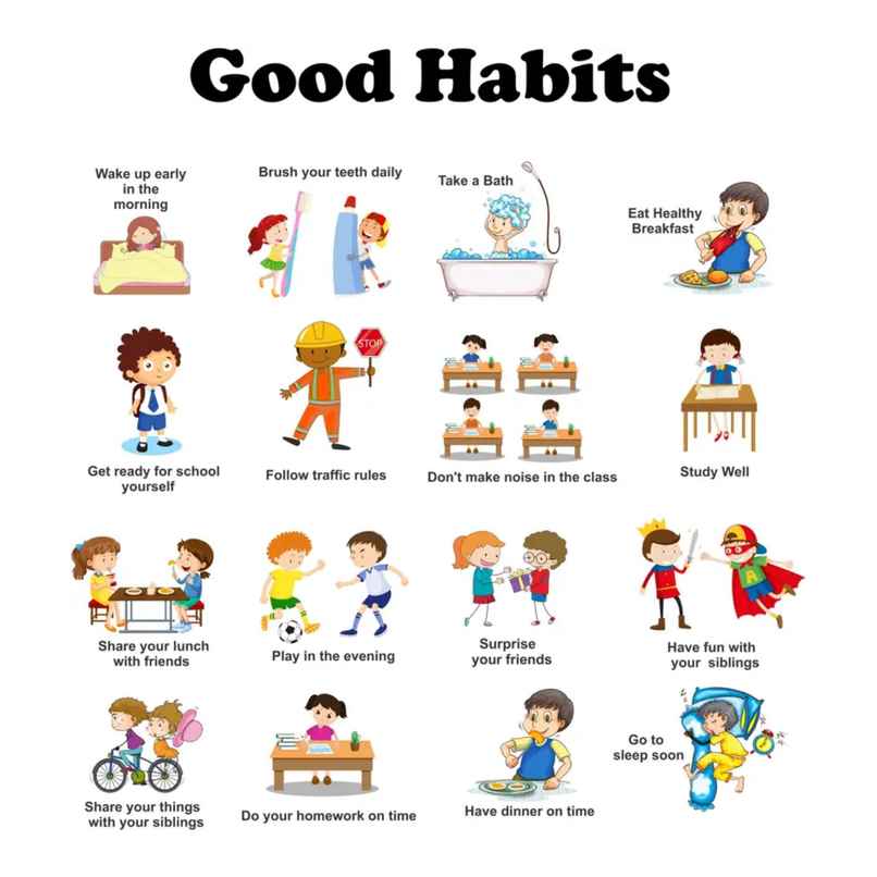BAY6 Good Habits Removable Sticker - 95cm | Pack Of 1 BAY6 Good Habits Removable Sticker - 95cm | Pack Of 1