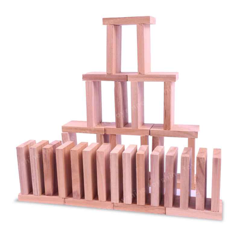 Toyshine 40-Piece Wooden Domino Blocks, Stacking & Racing Game for Kids