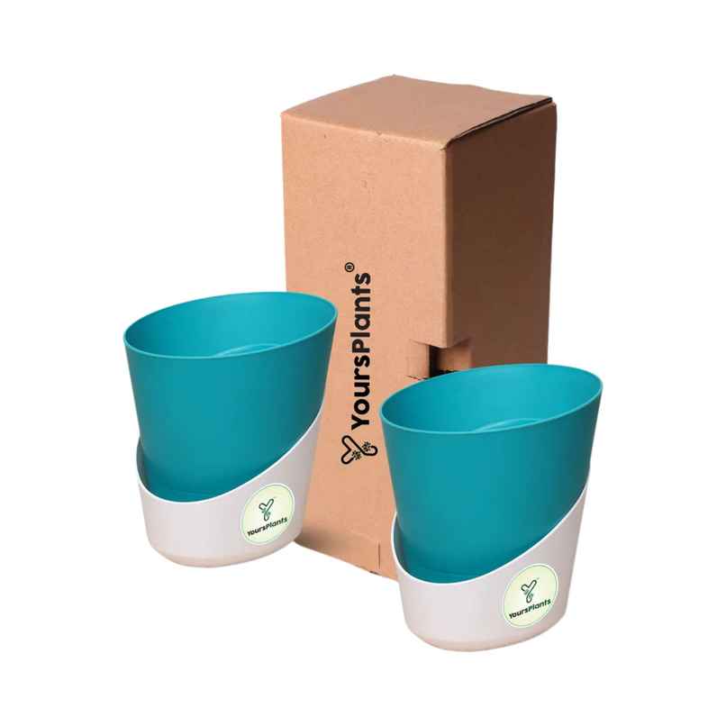 Yoursplants Atlantis - 4 Inch Teal Pot | Pack Of 2