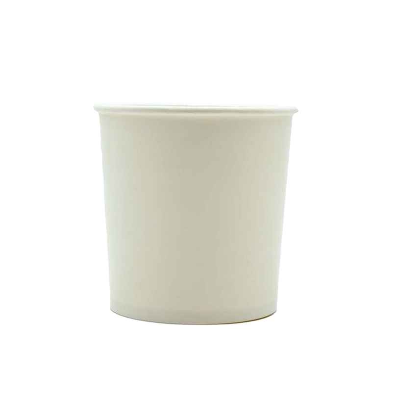 Disposable White Paper Container Without Lid | Pack Of 10 | 750 ml | Tempware