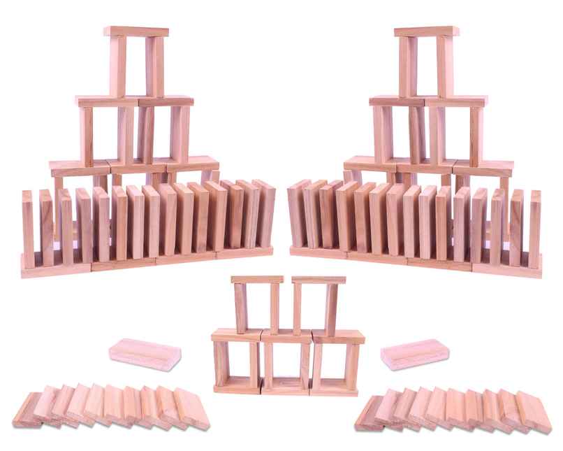Toyshine 120-Piece Wooden Domino Blocks, Stacking & Racing Game for Kids Toyshine 120-Piece Wooden Domino Blocks, Stacking & Racing Game for Kids