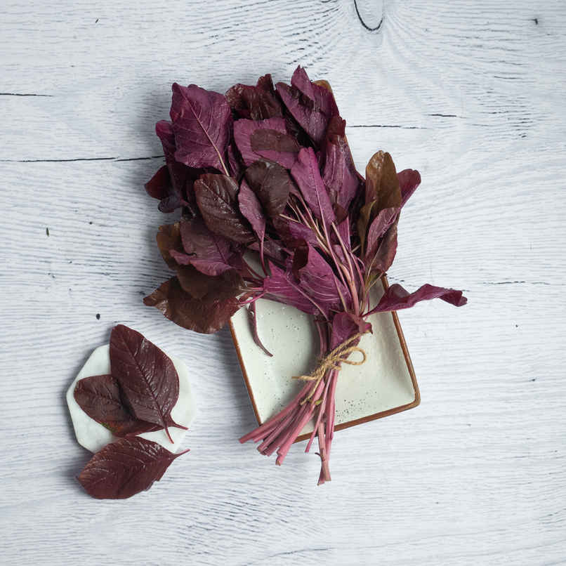 Amaranth Red Leaves
