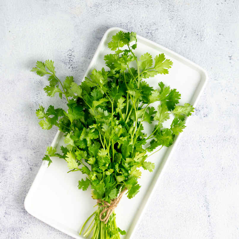 Coriander Leaves
