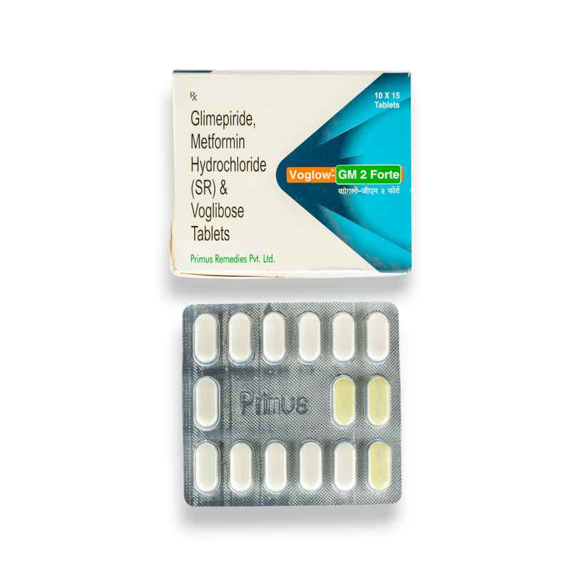 Voglow-GM 2 Forte Tablet SR Voglow-GM 2 Forte Tablet SR
