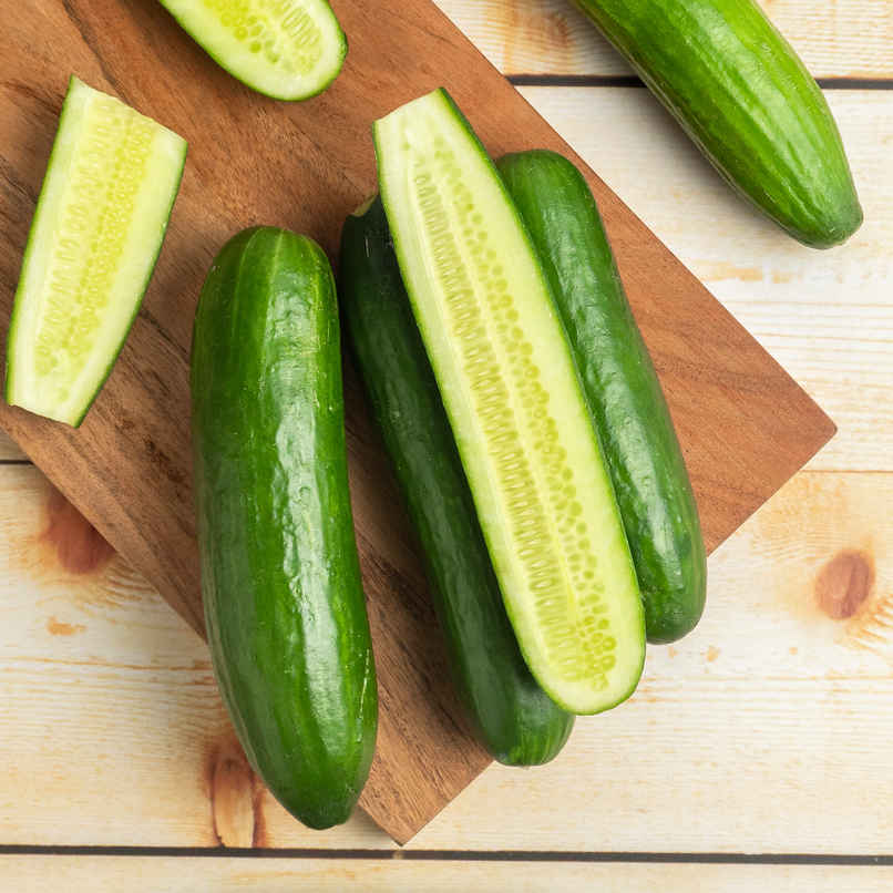 Hydroponic Cucumber English