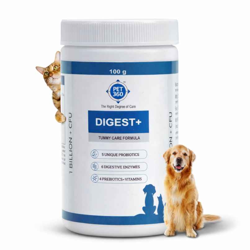 PET360 Digest+ Tummy Care Formula Pet Supplement(Bottle) PET360 Digest+ Tummy Care Formula Pet Supplement(Bottle)