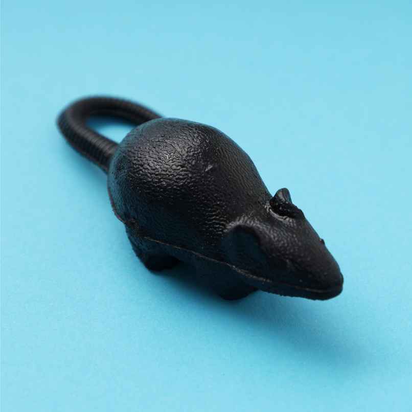 Fake Rat Prank Toy | Happy Mail