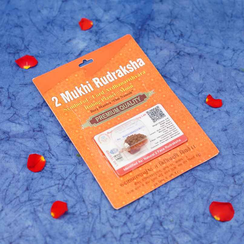 2 Mukhi Rudraksha | Pendant | ServDharm