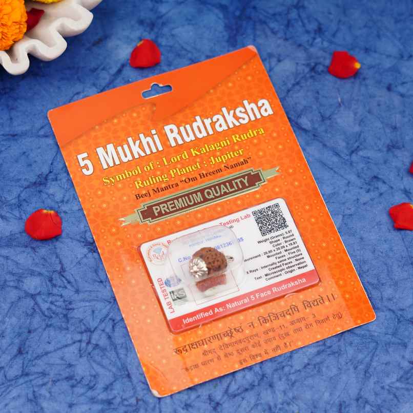 5 Mukhi Rudraksha | Pendant | ServDharm