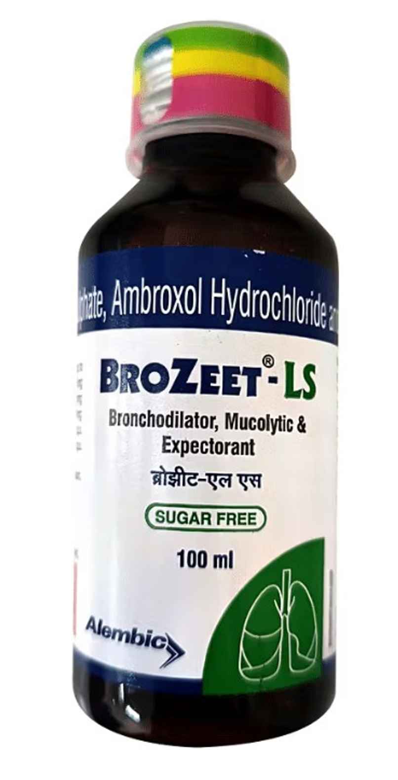 BroZeet-LS Sugar Free Syrup 