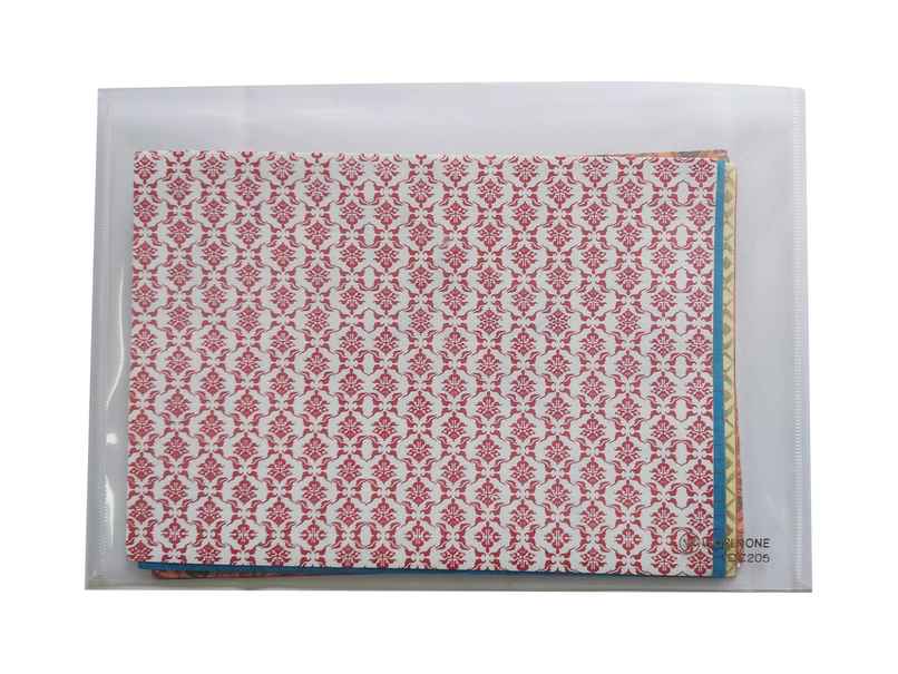 Worldone My Clear Bag Button File Folder -Assorted