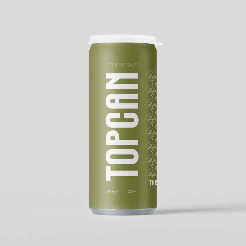 TOPCAN Ginger Ale with Caffeine | Carbonation That Doesn't Go Flat
