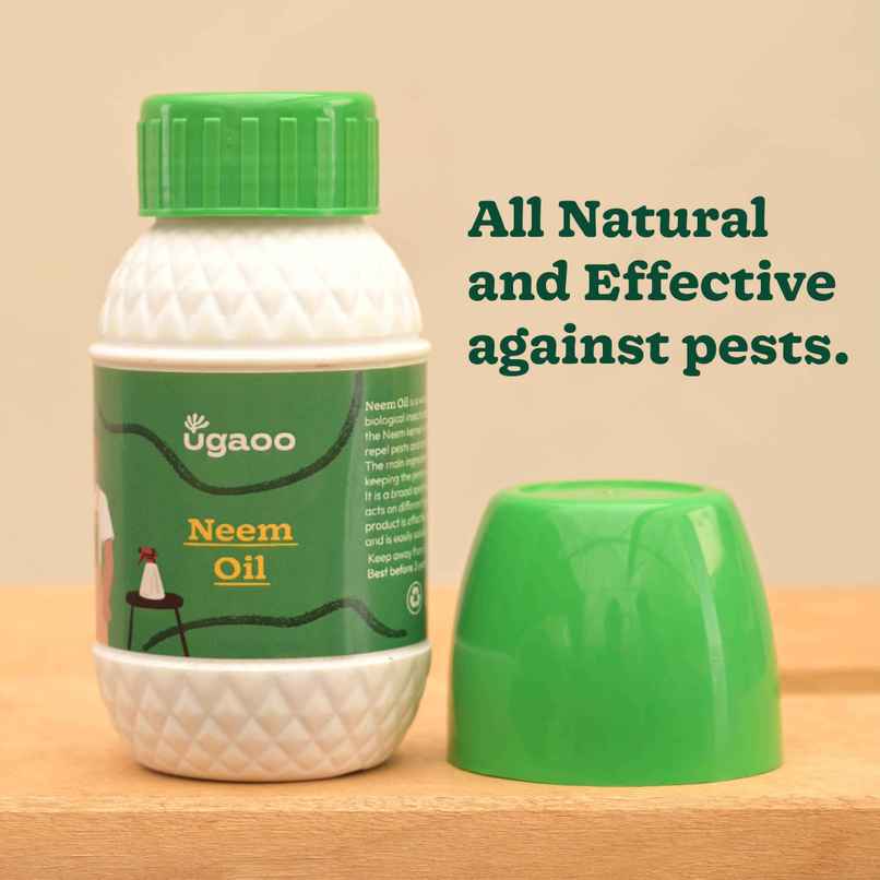 Ugaoo Neem Oil Spray For Plants & Garden-Highly Effective On Plant Insects Aquatic Plant Fertilizer Ugaoo Neem Oil Spray For Plants & Garden-Highly Effective On Plant Insects Aquatic Plant Fertilizer