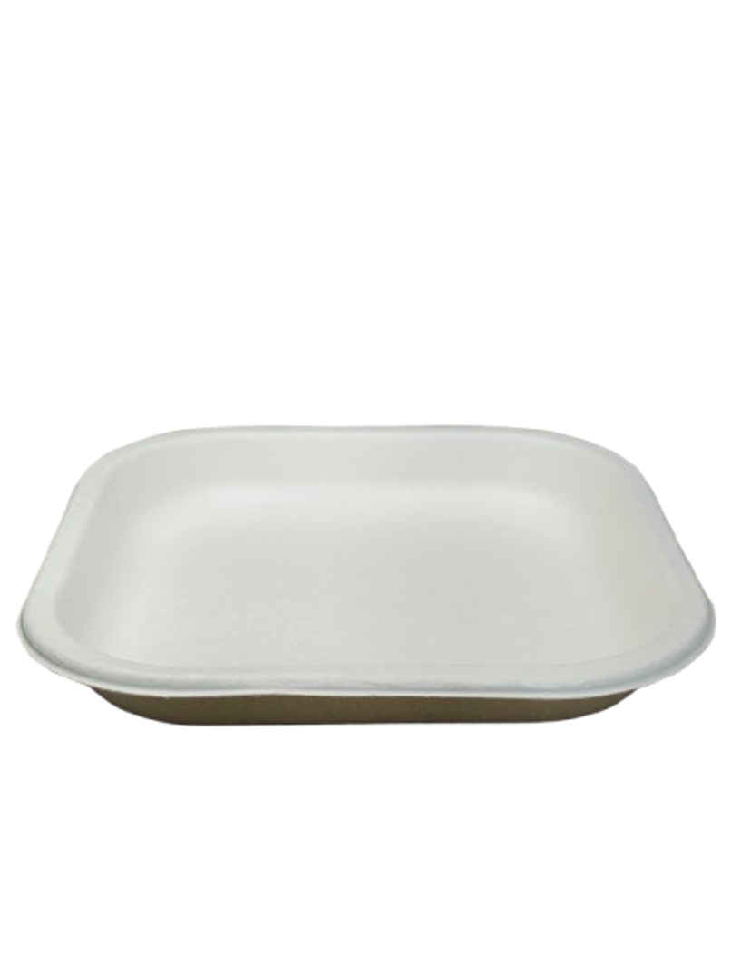 Disposable Square Plate | 6 inch | Pack of 25 | Sn Cd 5.5 | Antzco