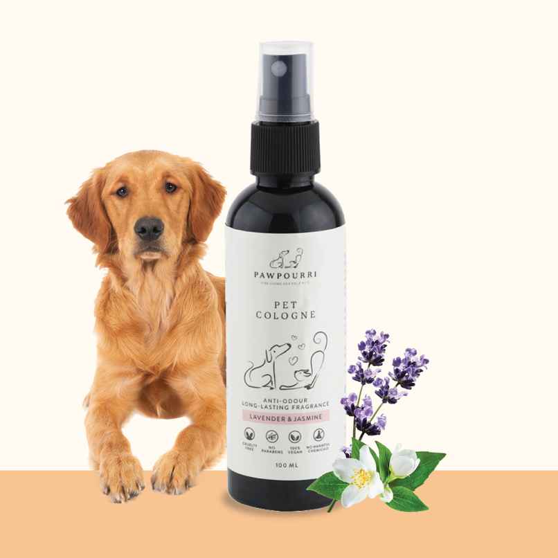 Pawpourri Pet Cologne (Perfume) for Pet