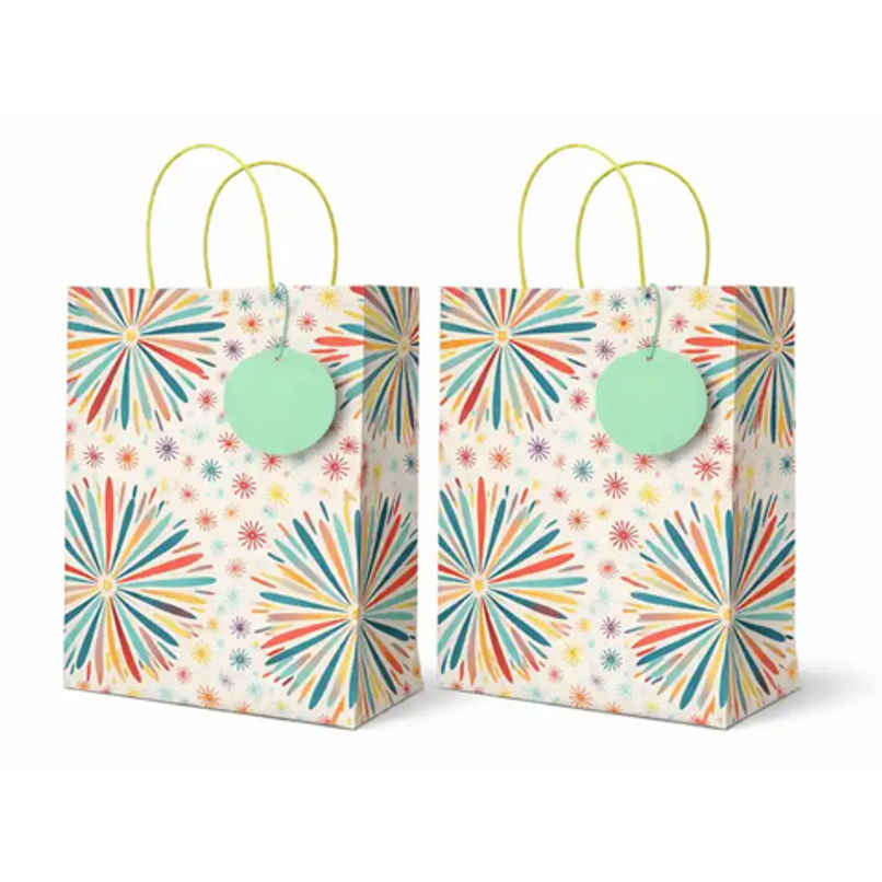 Decorative Gift Bag | Large | With Gift Tag | Bright Storey