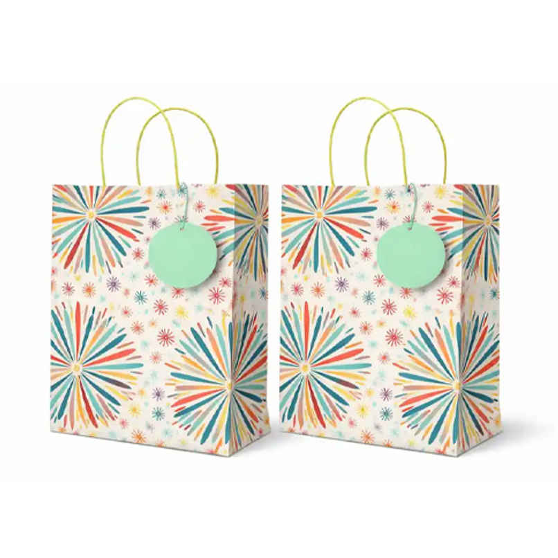 Decorative Gift Bag Small With Gift Tag | Bright Storey