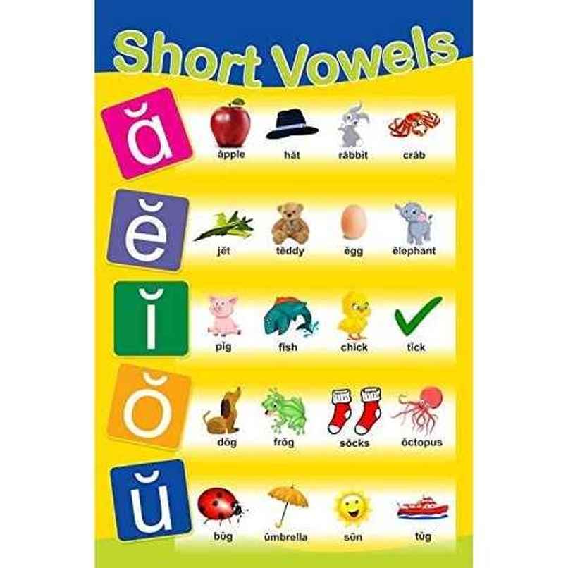 Paper Plane Design Kids Early Learning Educational Poster | Size 12 x 18 Inch | D14