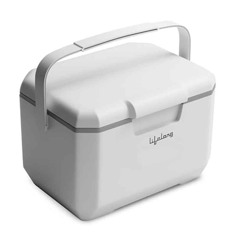 Lifelong Insulated Chiller Ice Box | 6 L | BPA-Free | For Travel, Parties, Bar & Medical Use