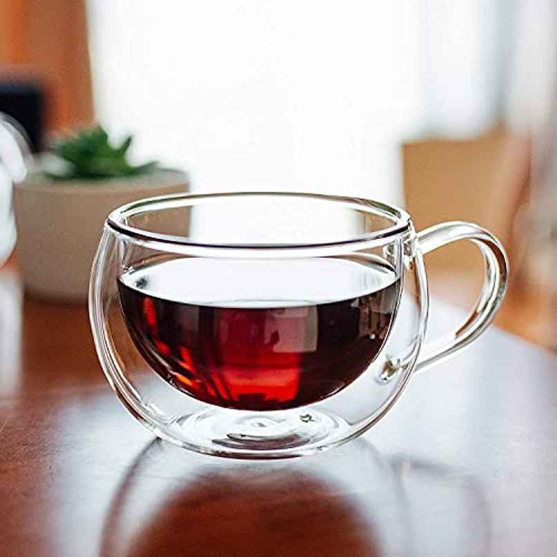 Femora Borosilicate Glass Double Wall Coffee Mug Tea Cup, 300 ml