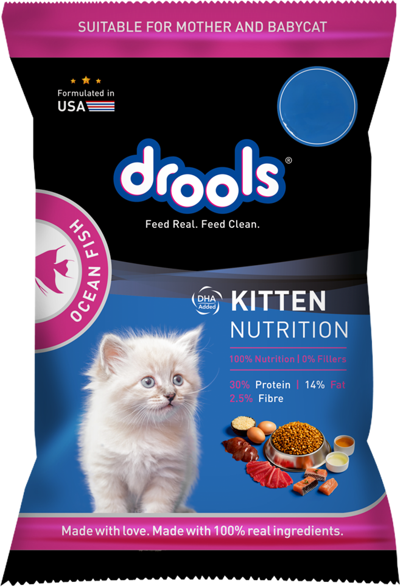 Drools Kitten Ocean Fish