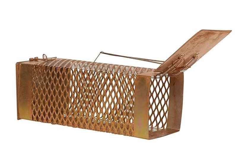Chipku Medium Size Rat/Mouse Trap Cage For Home, Kitchen & Garden| Reusable Rat Trap