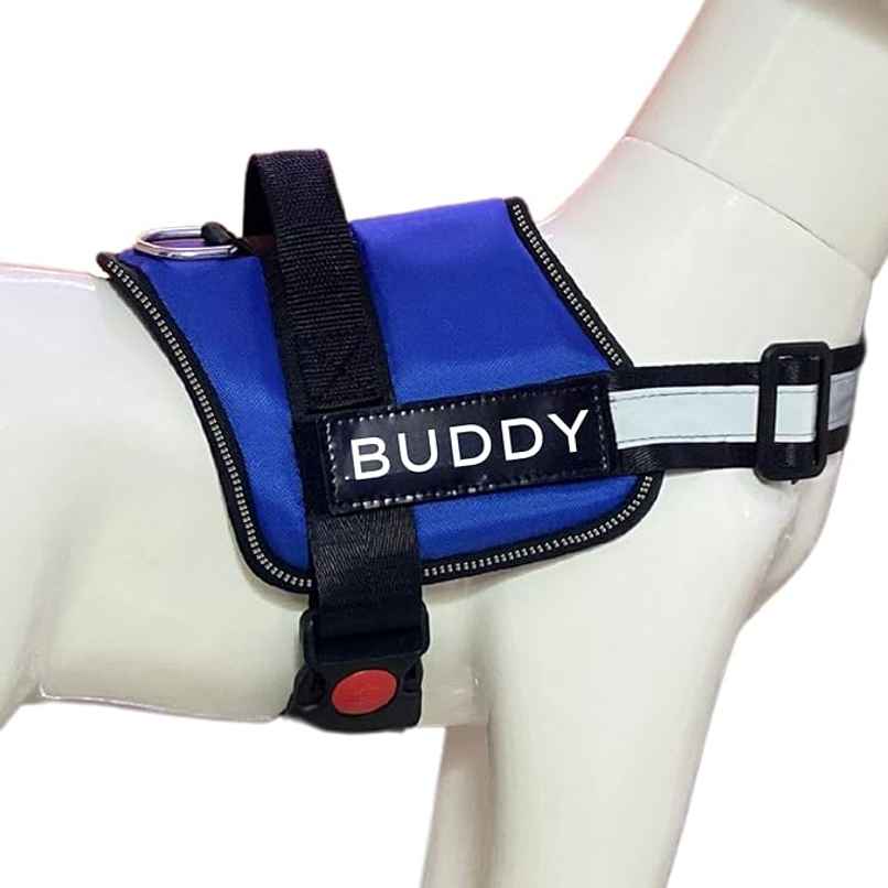 Payton Perry Dog Harness | Choke-Free | Adjustable Neck & Chest | For 36-45 kg Pet | Blue - XL