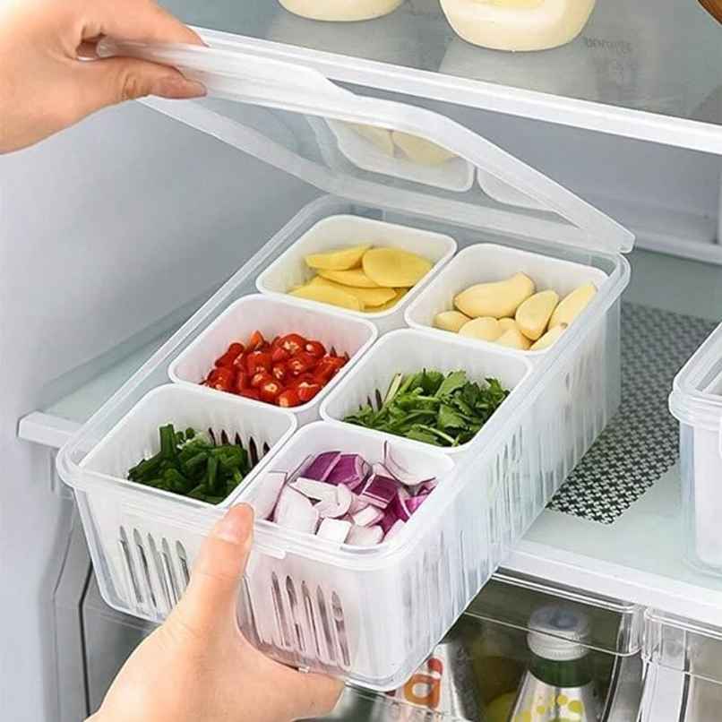 Perpetual Fridge Storage Boxes | 6-Grid Freezer Containers for Vegetables & Fruits Perpetual Fridge Storage Boxes | 6-Grid Freezer Containers for Vegetables & Fruits
