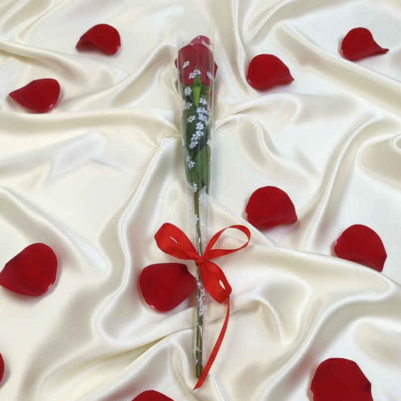 Single Red Rose Combo | Gifting Single Red Rose Combo | Gifting