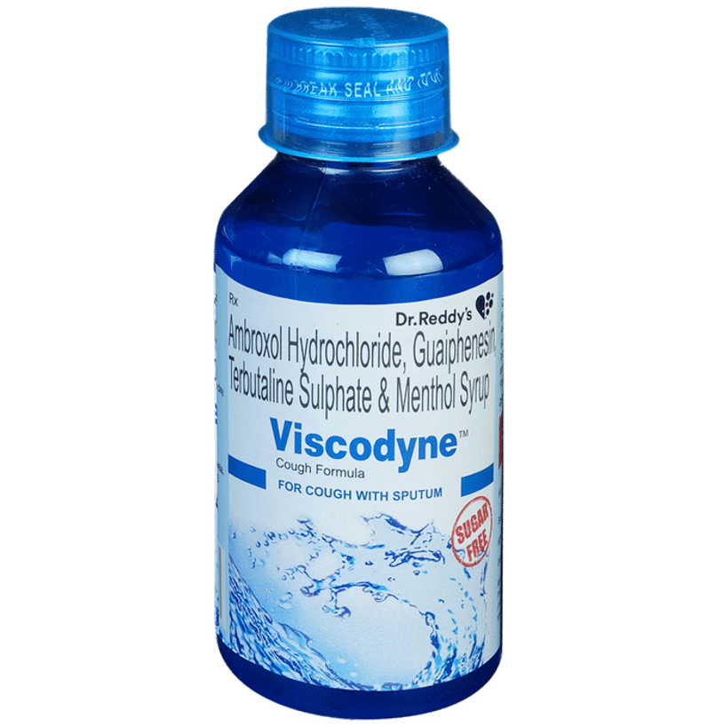 Viscodyne Sugar Free Syrup