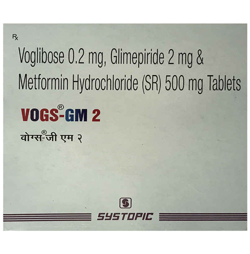 Vogs-GM 2 Tablet SR