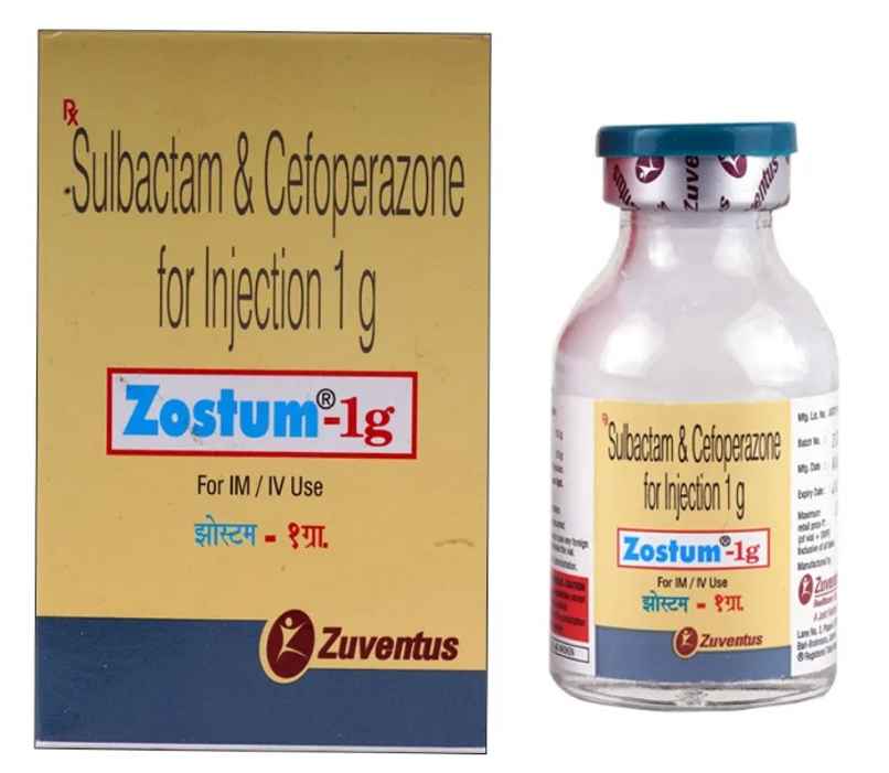 Zostum-1g Injection
