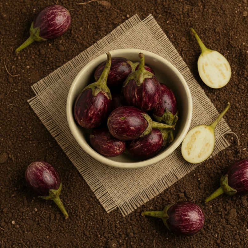 Organically Grown Brinjal