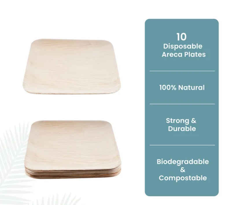 Areca Palm Leaf Disposable Plate | 10 inch | Square