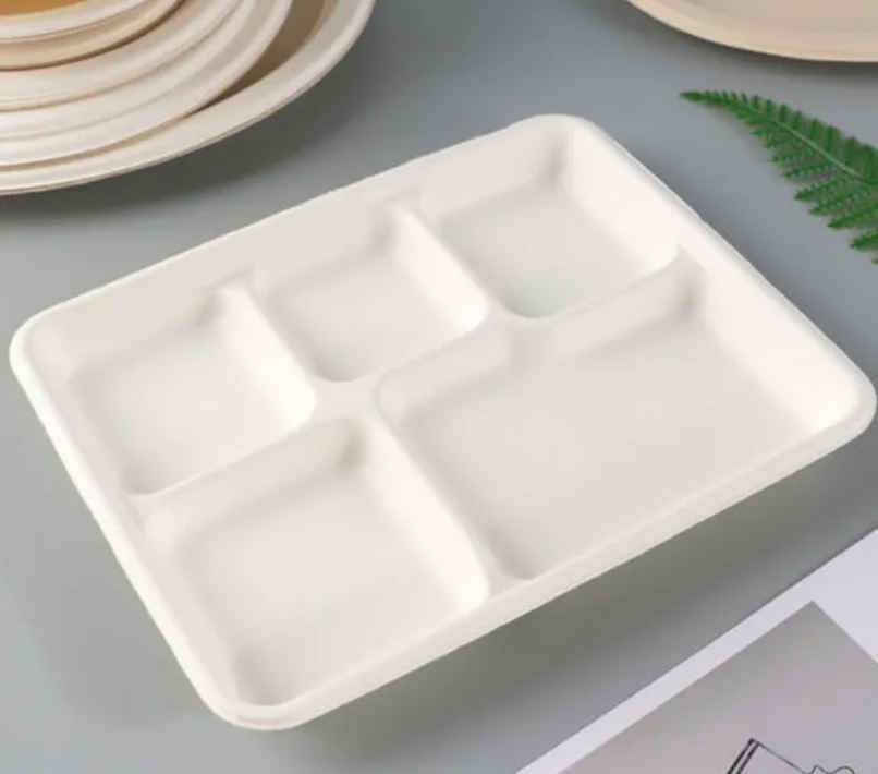Disposable Bagasse Full Meal Plate | 5 Compartment | Tempware
