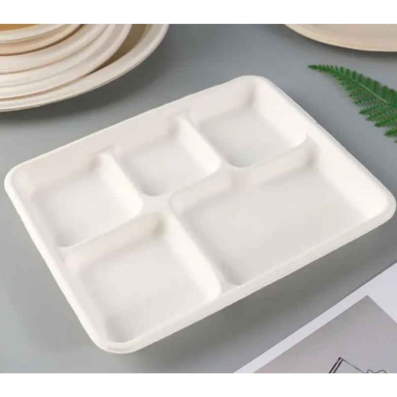 Disposable Bagasse Full Meal Plate | 5 Compartment | Tempware Disposable Bagasse Full Meal Plate | 5 Compartment | Tempware
