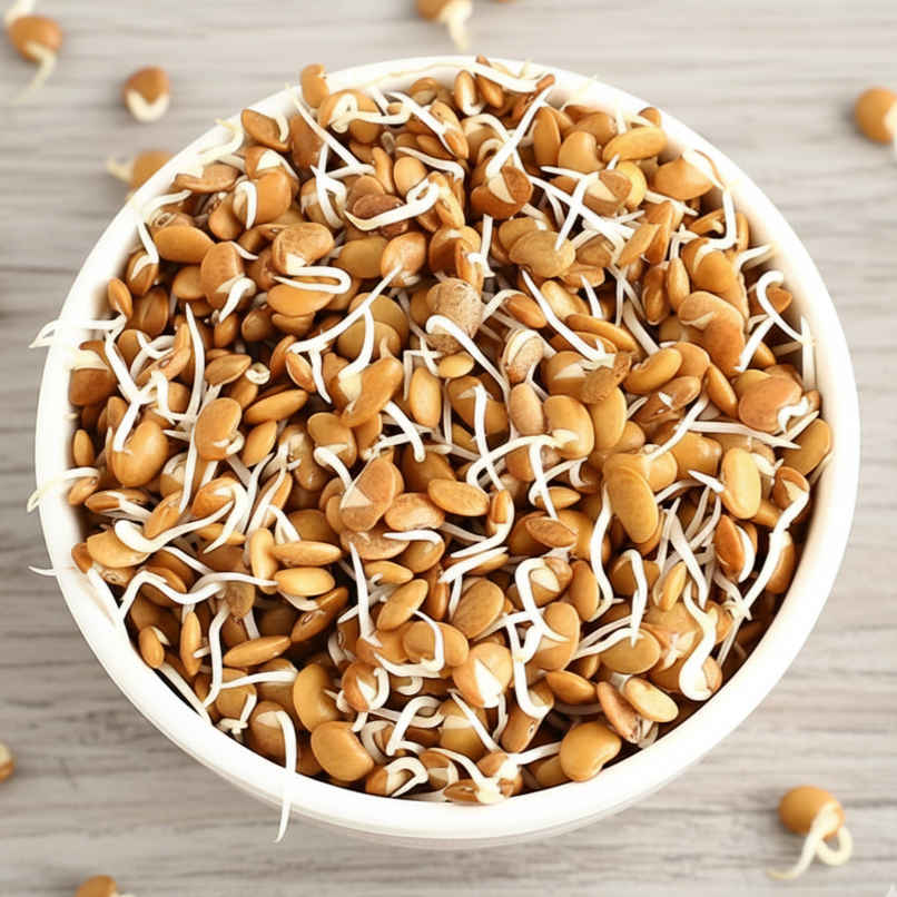 Horse Gram Sprouts Horse Gram Sprouts