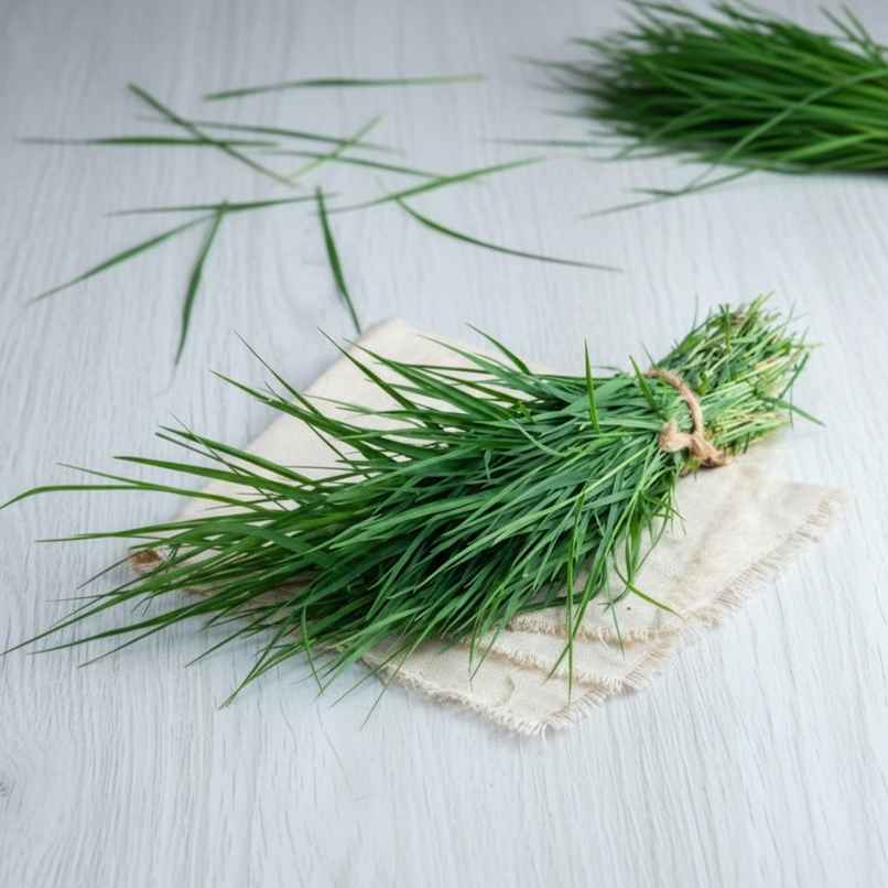 Durva Grass