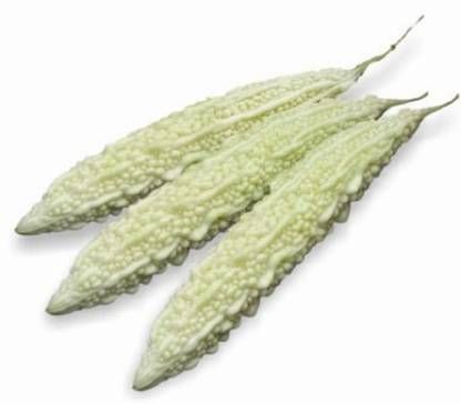 Bitter Gourd White