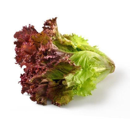 Lettuce Lollo Rosso