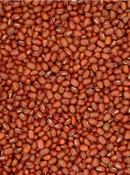 Nutrijeo Red Lobia