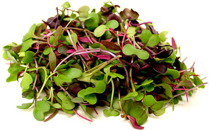 Microgreen Mix