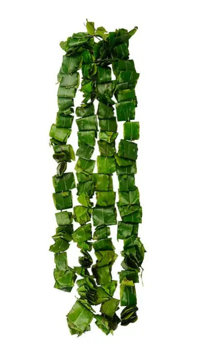Ashoka Leave String