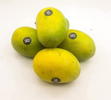 Superplum Mango Langda	