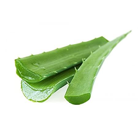 Aloe vera