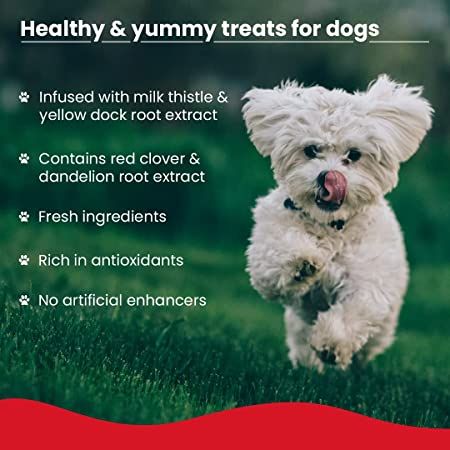 WIGGLES Barkstix Dog Treats for Training Adult Puppies, Milk Thistle, Beetroot & Starch (Chicken & Pomegranate)